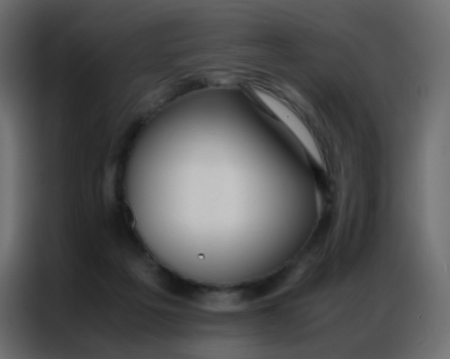 X0000086790217200705041555