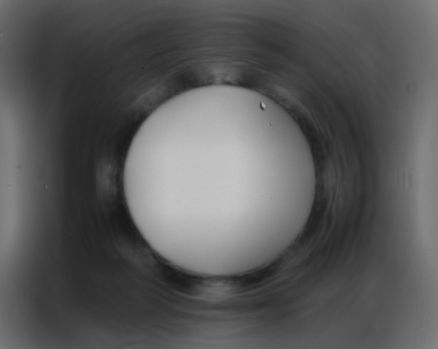 X0000086790218200705041555