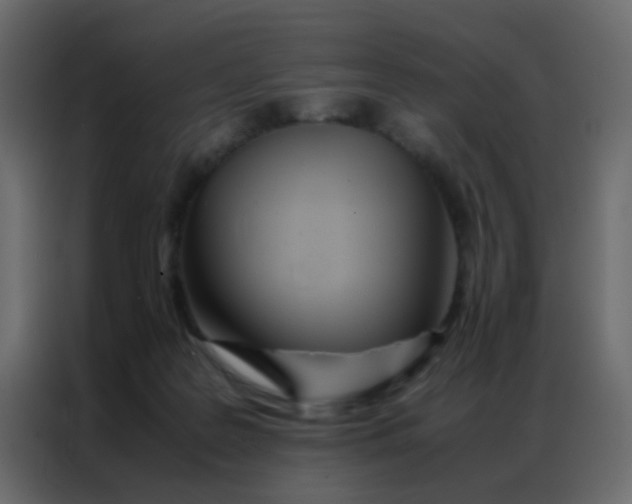 X0000086790219200705041555