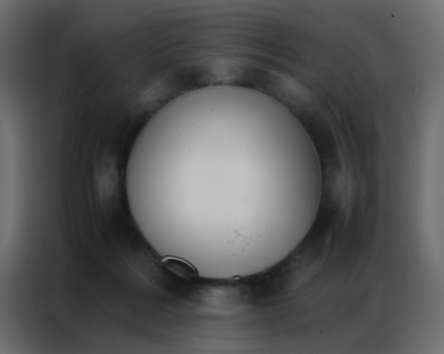 X0000086790220200705041555