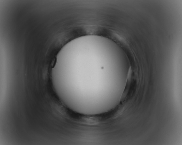 X0000086790221200705041555