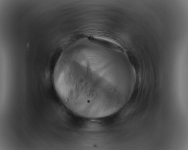 X0000086790222200705041555