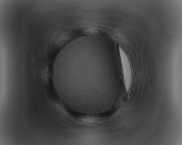 X0000086790223200705041555