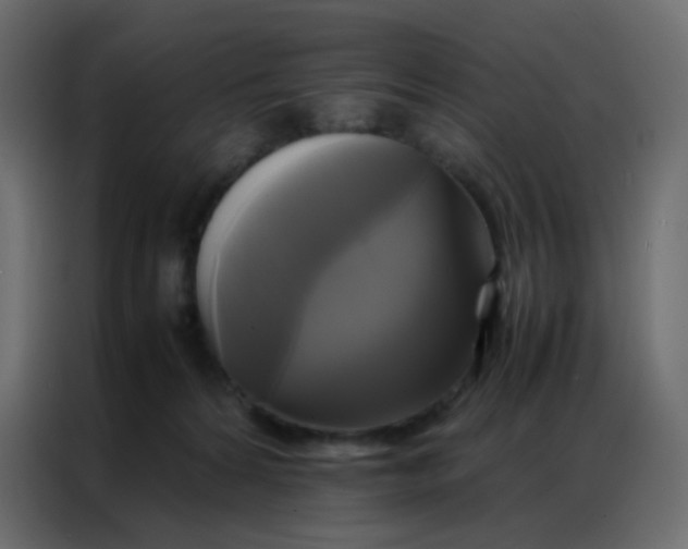 X0000086790224200705041555