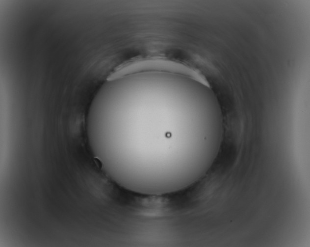 X0000086790225200705041555