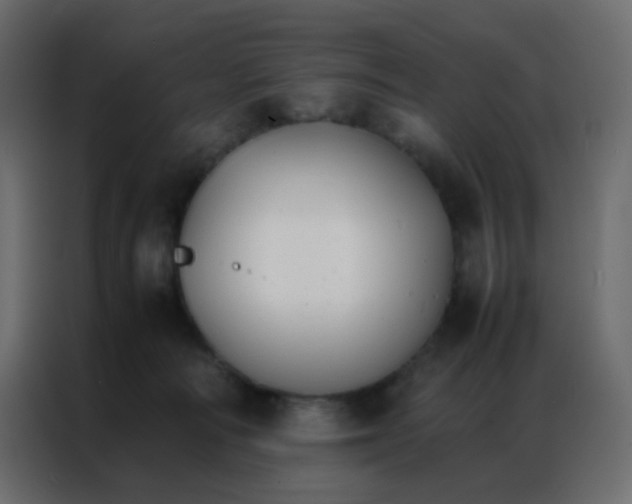 X0000086790226200705041555