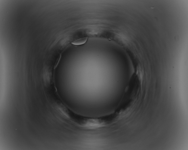 X0000086790227200705041555