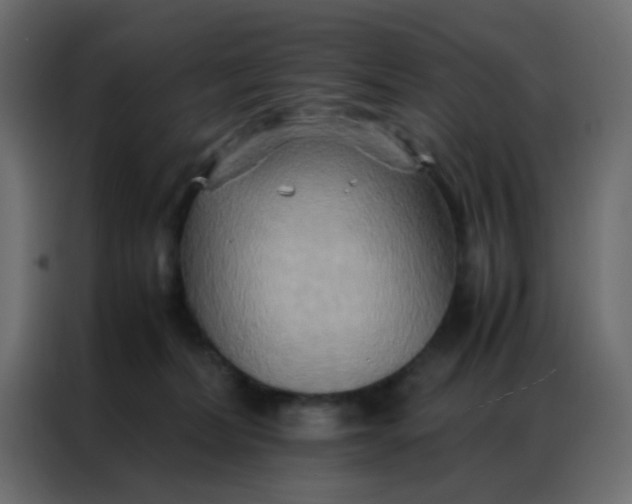 X0000086790228200705041555