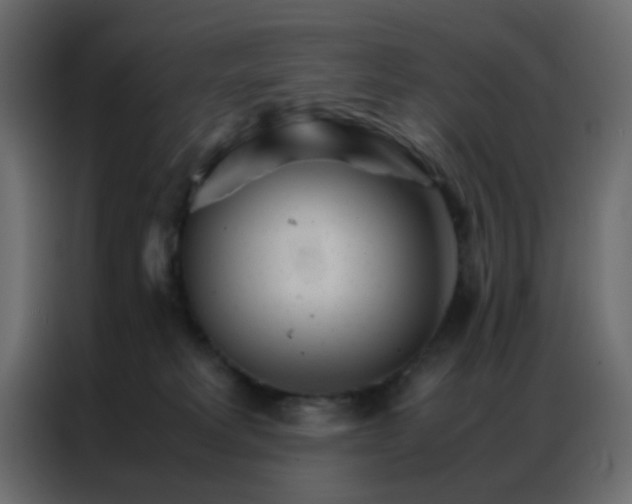 X0000086790229200705041555