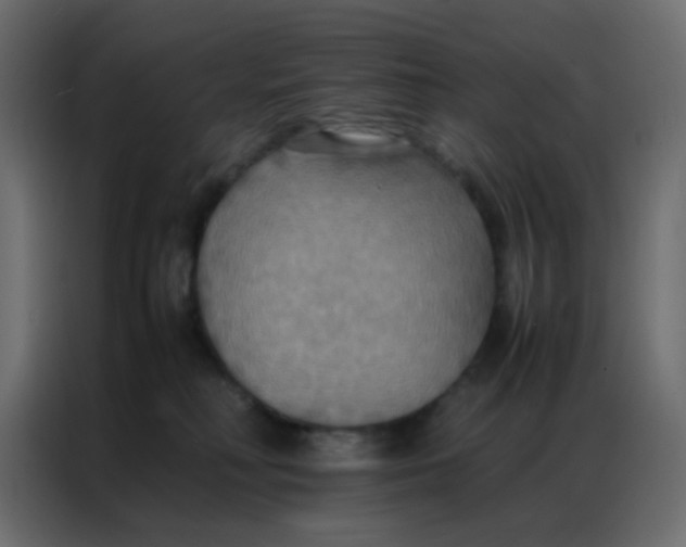 X0000086790230200705041555