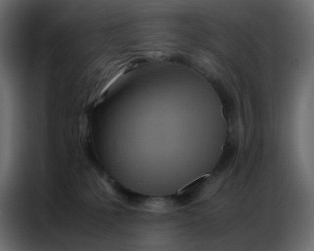 X0000086790231200705041555