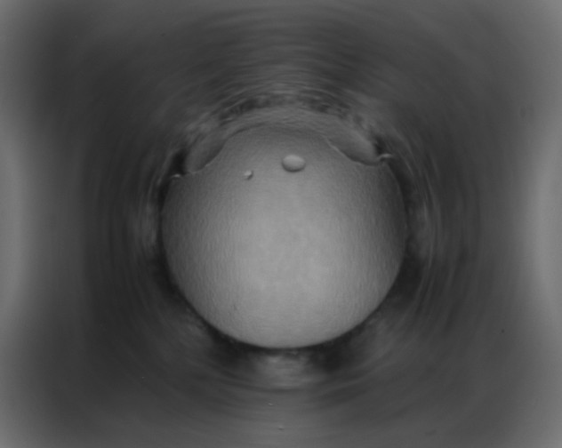 X0000086790232200705041554