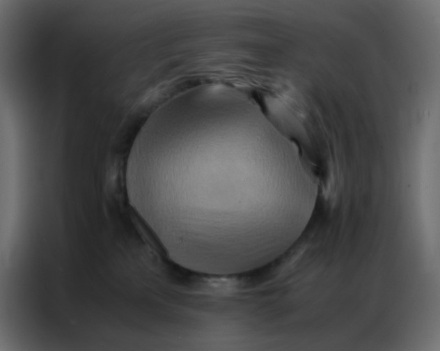 X0000086790233200705041554