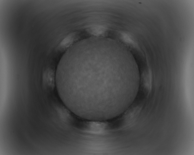 X0000086790234200705041554