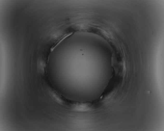 X0000086790235200705041554