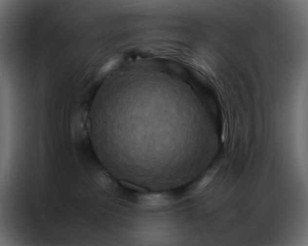 X0000086790237200705041554