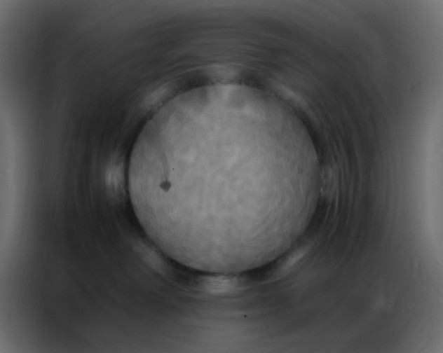 X0000086790238200705041554