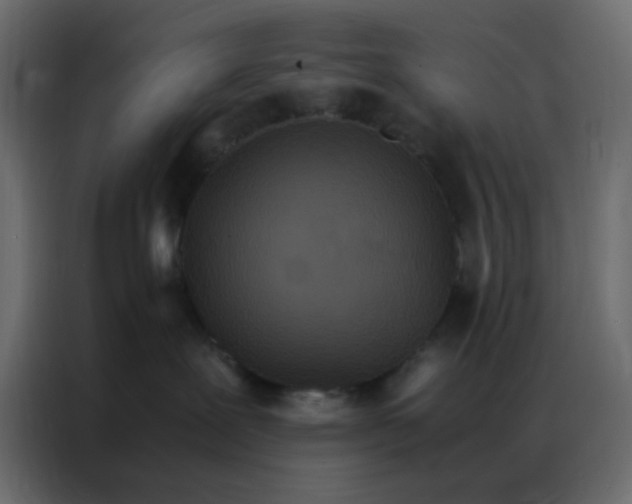 X0000086790239200705041554