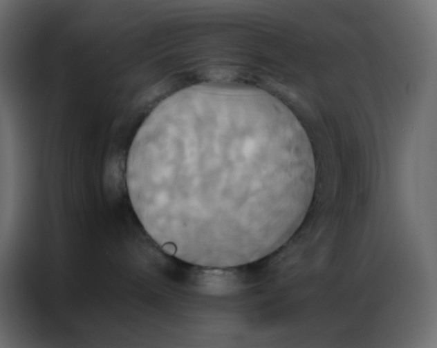 X0000086790240200705041554