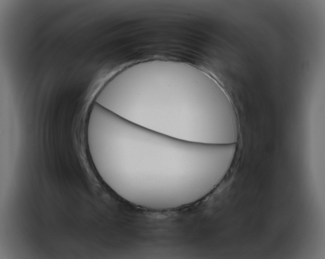 X0000086790241200705041554