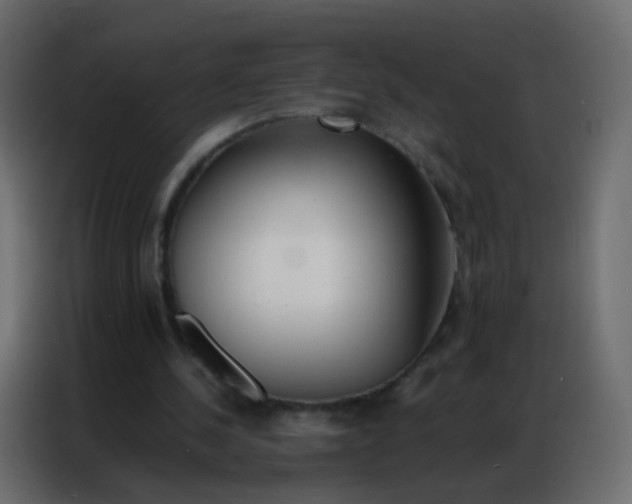 X0000086790244200705041554