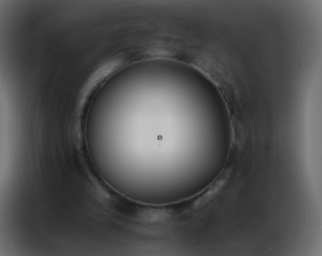 X0000086790245200705041554