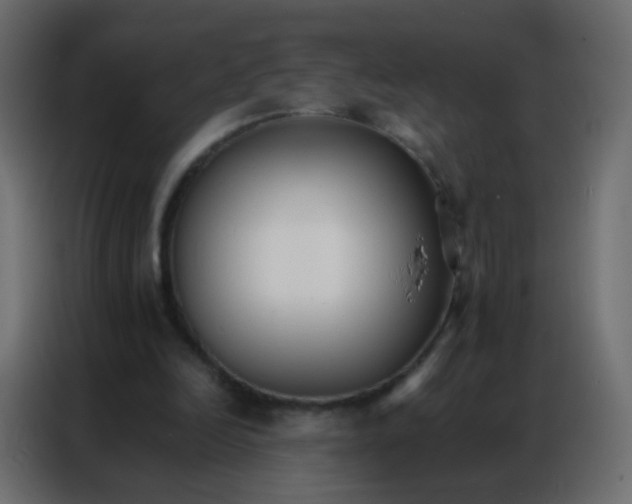 X0000086790246200705041554