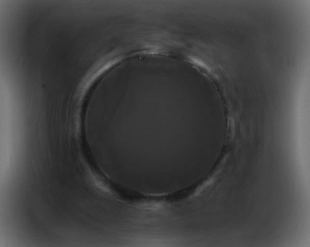 X0000086790247200705041554