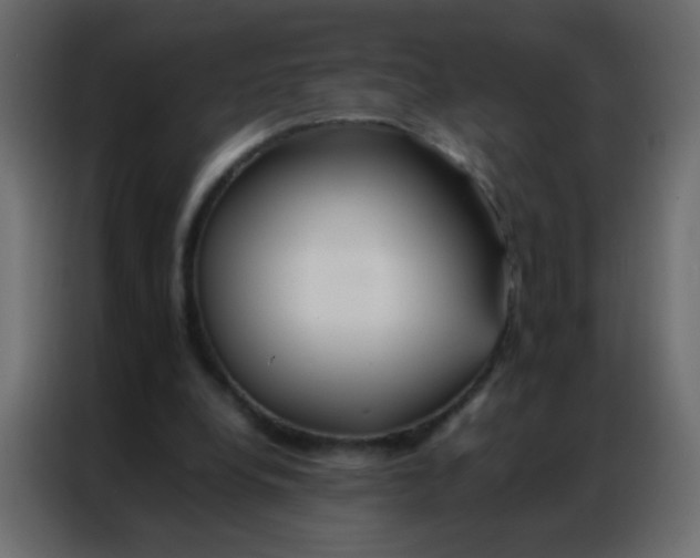 X0000086790248200705041554