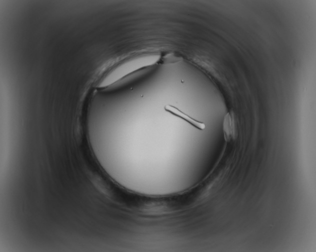 X0000086790252200705041554