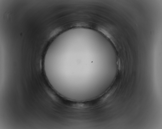 X0000086790253200705041554