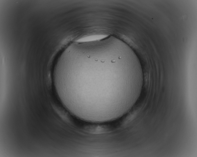 X0000086790254200705041554