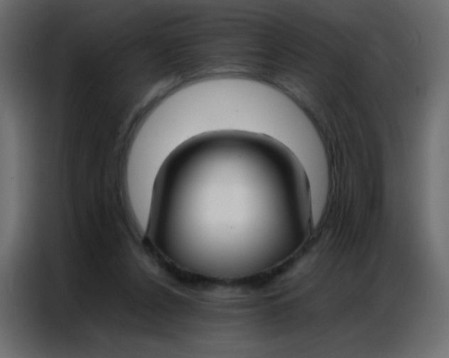 X0000086790256200705041554