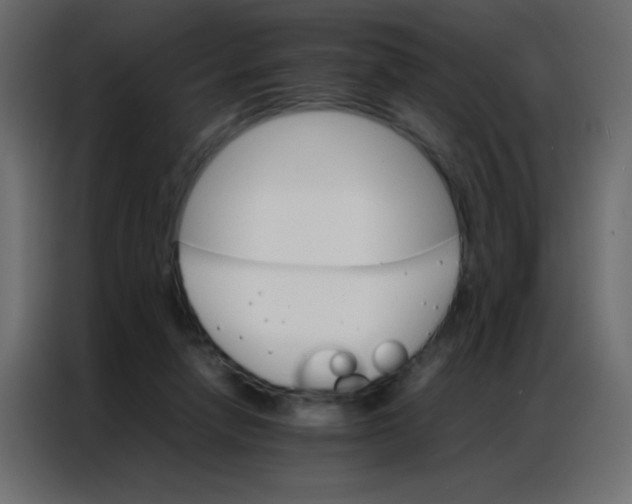 X0000086790258200705041554