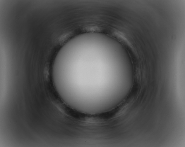 X0000086790259200705041554