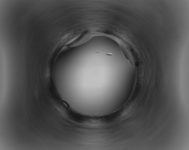 X0000086790260200705041554