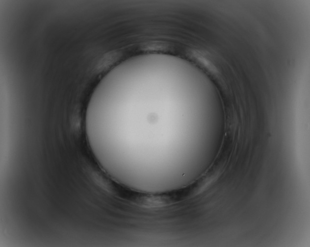 X0000086790261200705041554