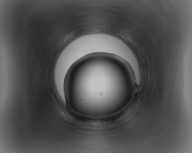 X0000086790264200705041554