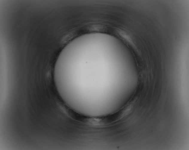 X0000086790265200705041554