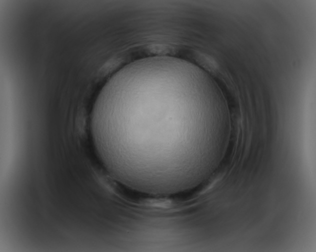 X0000086790266200705041554