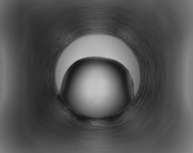 X0000086790268200705041554