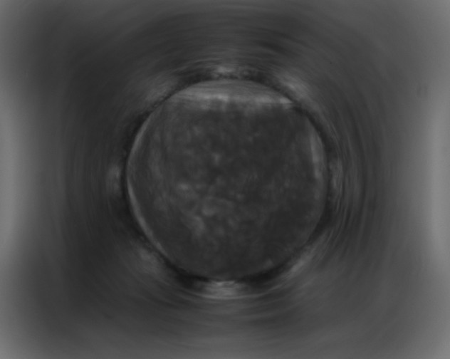 X0000086790269200705041554