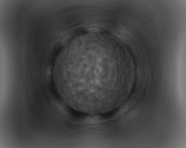 X0000086790271200705041554