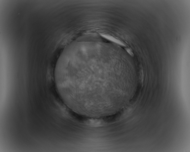 X0000086790272200705041554