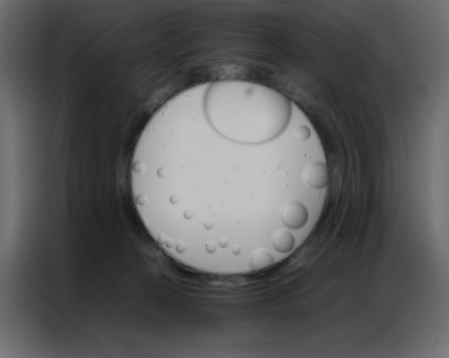 X0000086790274200705041554