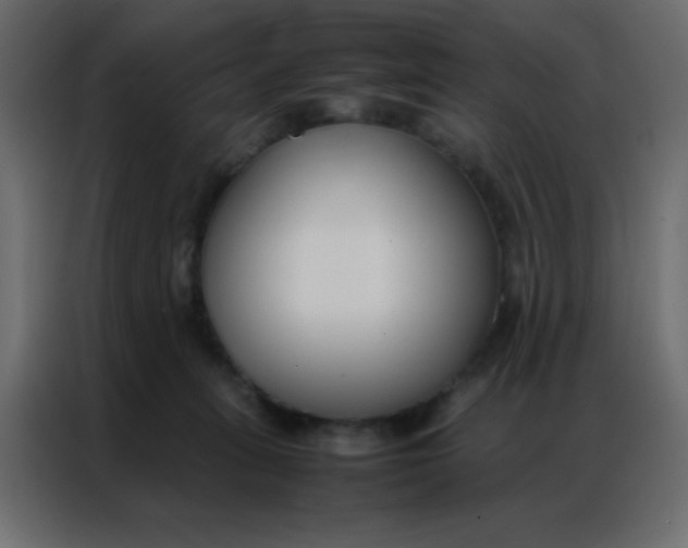 X0000086790275200705041554