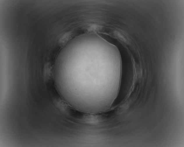 X0000086790276200705041554