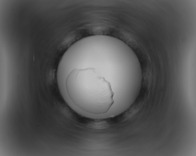 X0000086790278200705041554