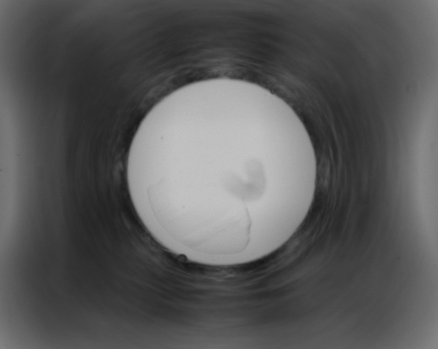 X0000086790279200705041554