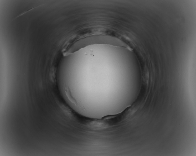 X0000086790280200705041554